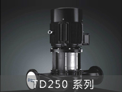 TD250系列管道循環泵